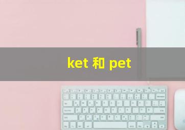 ket 和 pet